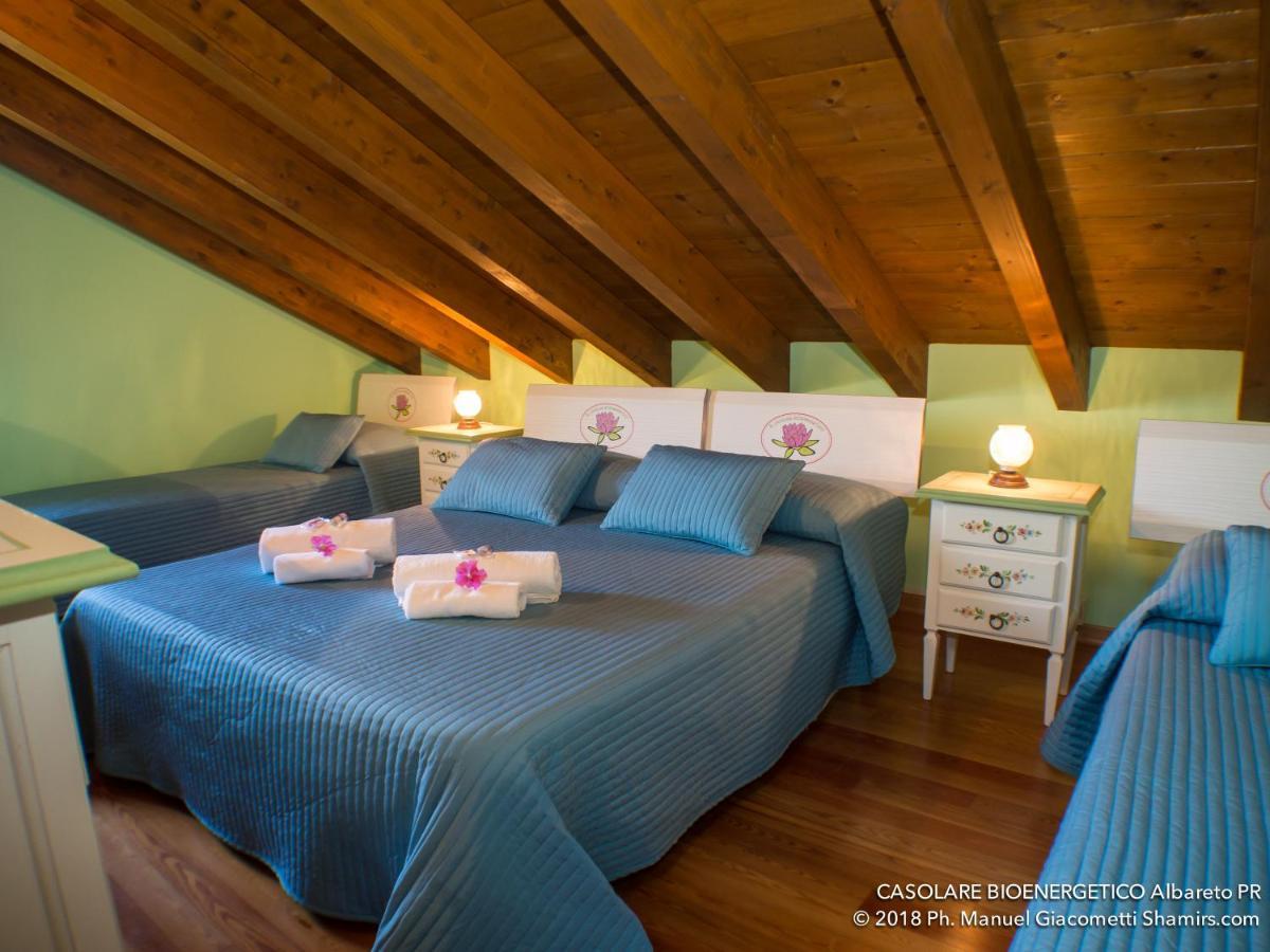 Il Casolare Bioenergetico Bed & Breakfast Albareto  Екстериор снимка