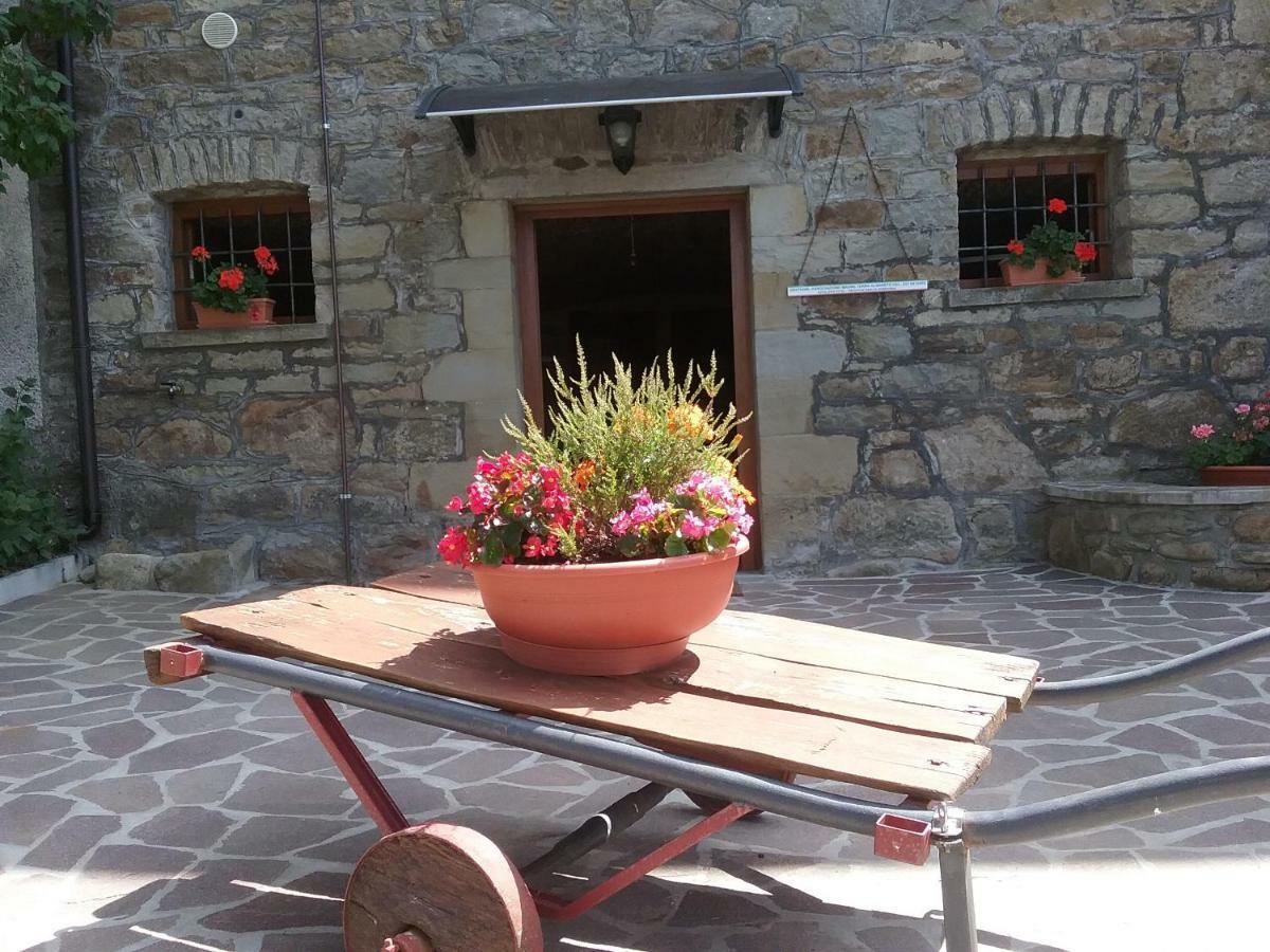 Il Casolare Bioenergetico Bed & Breakfast Albareto  Екстериор снимка